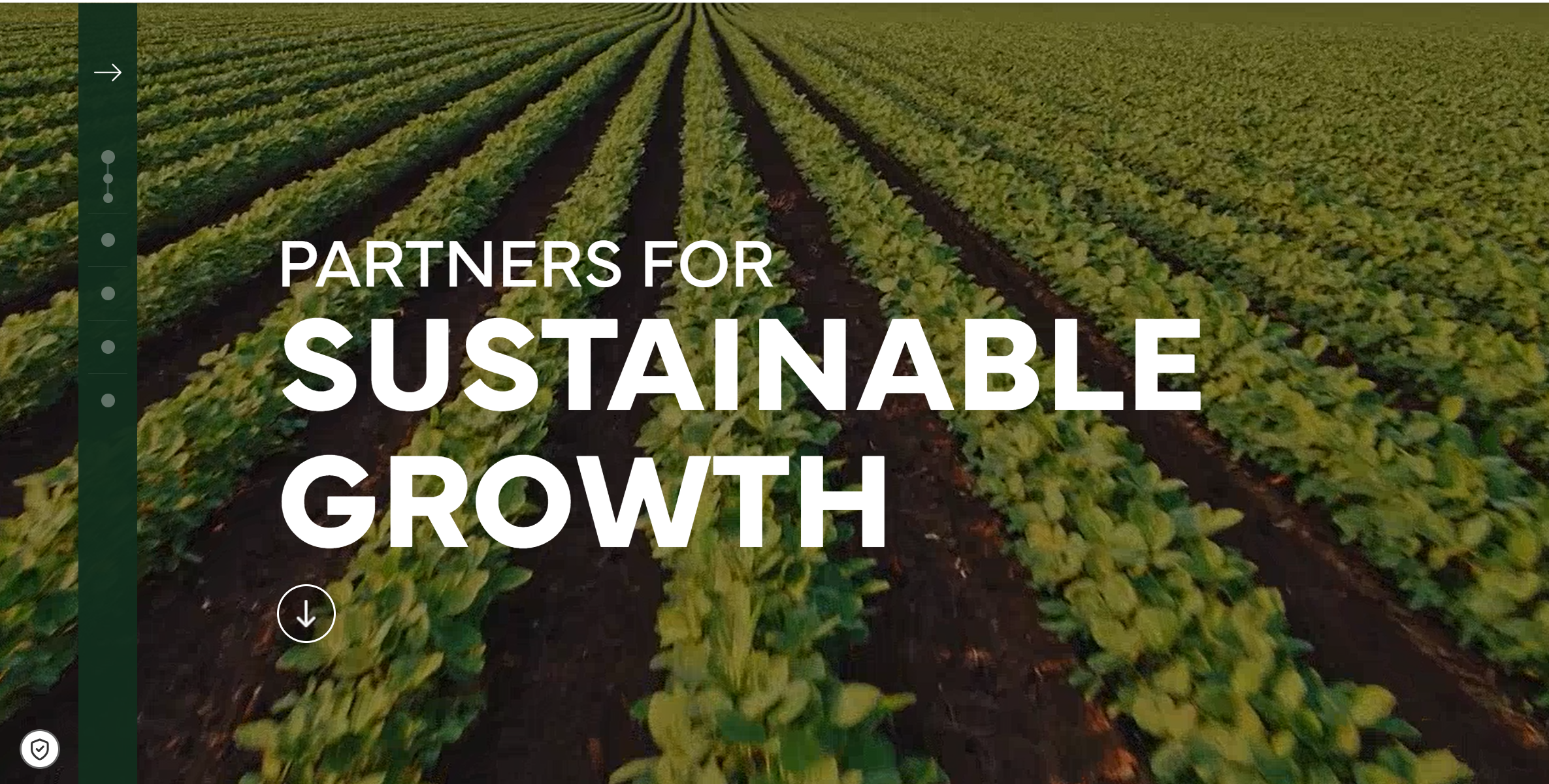 Sustainability Report — interactive landing screen
