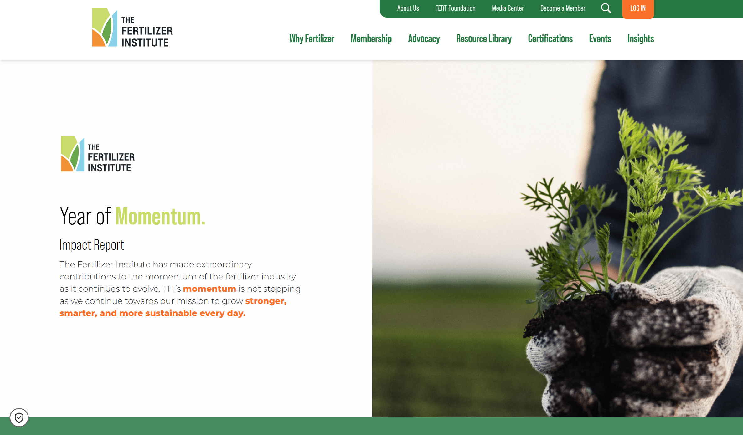 Annual Report — cover and spreads